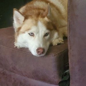 Meet your Posher, Leeann